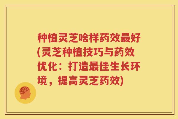 种植灵芝啥样好(灵芝种植技巧与优化：打造佳生长环境，提高灵芝)