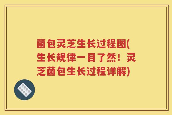 菌包灵芝生长过程图(生长规律一目了然！灵芝菌包生长过程详解)