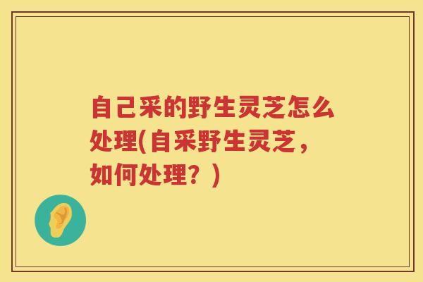 自己采的野生灵芝怎么处理(自采野生灵芝，如何处理？)