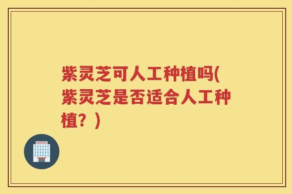 紫灵芝可人工种植吗(紫灵芝是否适合人工种植？)