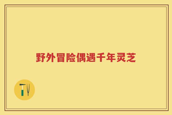 野外冒险偶遇千年灵芝