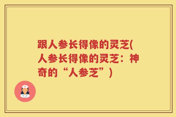 跟人参长得像的灵芝(人参长得像的灵芝：神奇的“人参芝”)