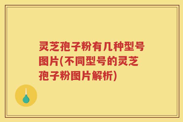 灵芝孢子粉有几种型号图片(不同型号的灵芝孢子粉图片解析)