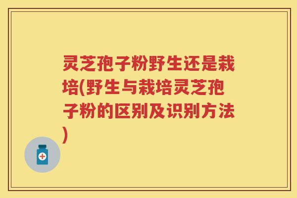 灵芝孢子粉野生还是栽培(野生与栽培灵芝孢子粉的区别及识别方法)