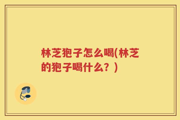 林芝狍子怎么喝(林芝的狍子喝什么？)