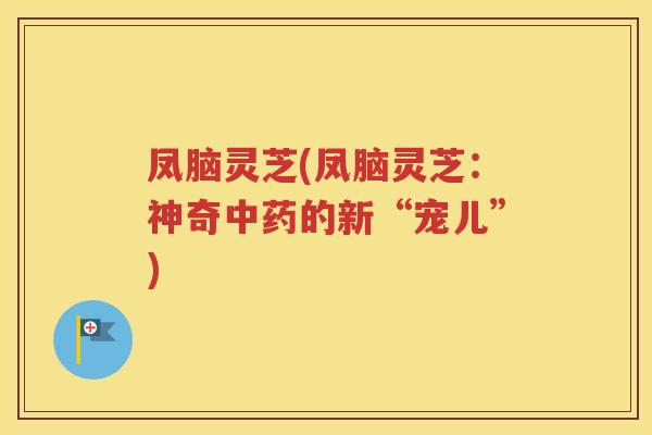 凤脑灵芝(凤脑灵芝：神奇的新“宠儿”)