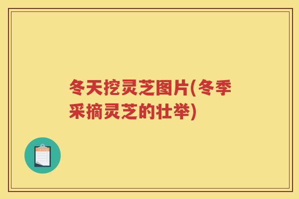 冬天挖灵芝图片(冬季采摘灵芝的壮举)