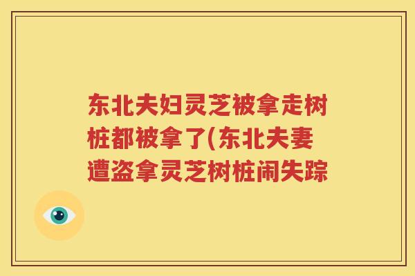 东北夫妇灵芝被拿走树桩都被拿了(东北夫妻遭盗拿灵芝树桩闹失踪