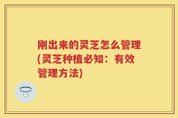 刚出来的灵芝怎么管理(灵芝种植必知：有效管理方法)