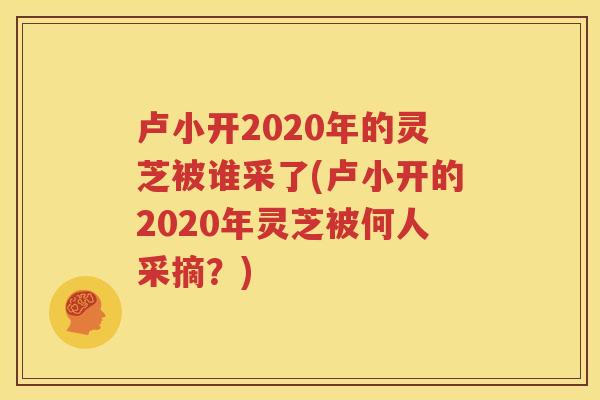 卢小开2020年的灵芝被谁采了(卢小开的2020年灵芝被何人采摘？)