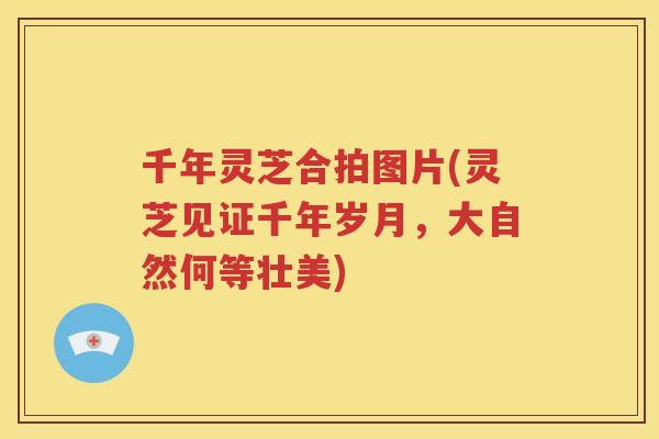 千年灵芝合拍图片(灵芝见证千年岁月，大自然何等壮美)