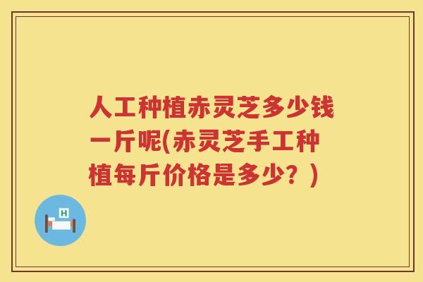 人工种植赤灵芝多少钱一斤呢(赤灵芝手工种植每斤价格是多少？)
