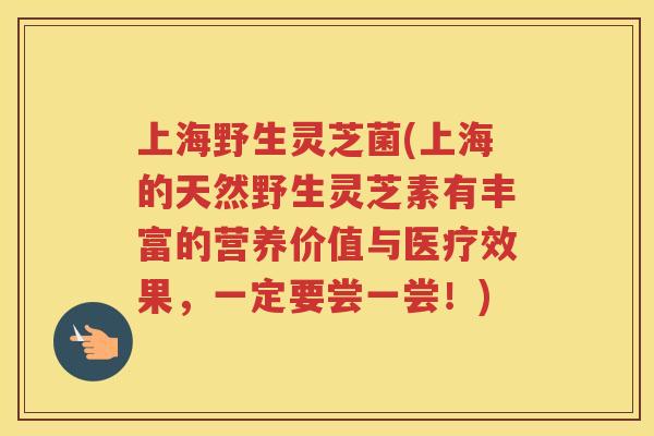 上海野生灵芝菌(上海的天然野生灵芝素有丰富的营养价值与医疗效果,一定要尝一尝!) 上海野生灵芝菌(上海的天然野生灵芝素有丰富的营养价值与医疗效果,一定要尝一尝!)
