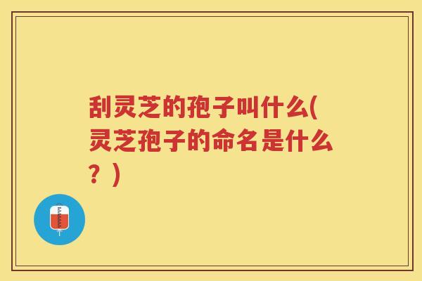 刮灵芝的孢子叫什么(灵芝孢子的命名是什么?) 刮灵芝的孢子叫什么(灵芝孢子的命名是什么?)