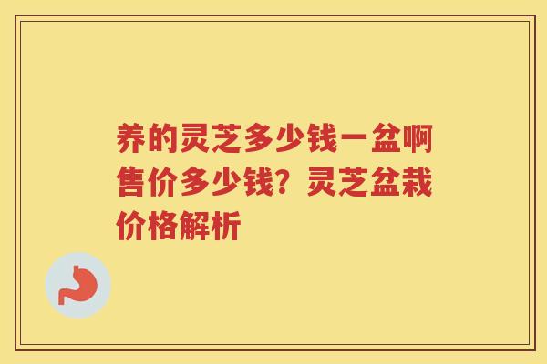 养的灵芝多少钱一盆啊售价多少钱？灵芝盆栽价格解析