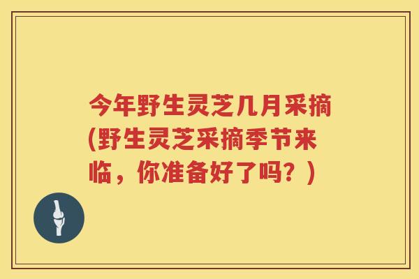 今年野生灵芝几月采摘(野生灵芝采摘季节来临，你准备好了吗？)