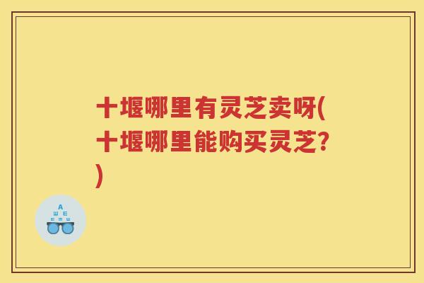 十堰哪里有灵芝卖呀(十堰哪里能购买灵芝？)