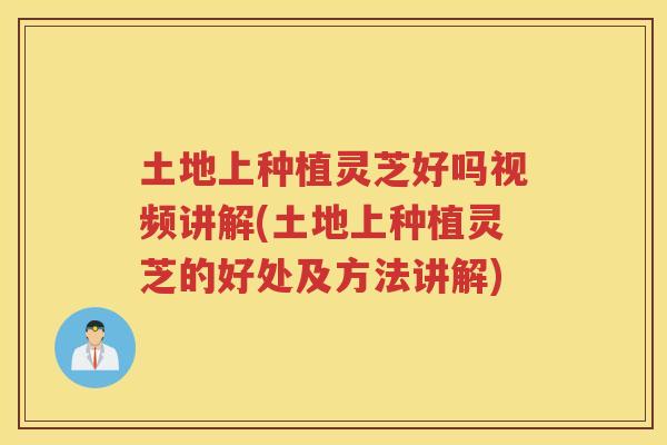 土地上种植灵芝好吗视频讲解(土地上种植灵芝的好处及方法讲解)