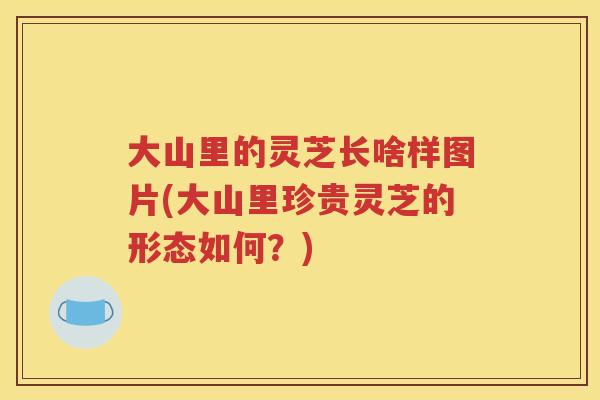 大山里的灵芝长啥样图片(大山里珍贵灵芝的形态如何？)