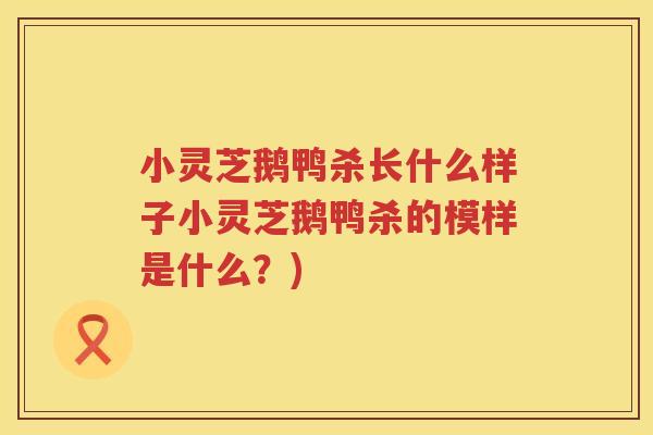 小灵芝鹅鸭杀长什么样子小灵芝鹅鸭杀的模样是什么？)