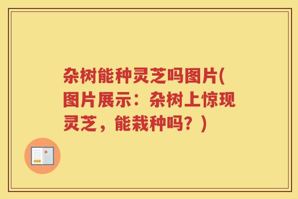 杂树能种灵芝吗图片(图片展示：杂树上惊现灵芝，能栽种吗？)