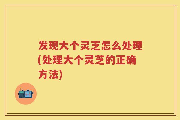 发现大个灵芝怎么处理(处理大个灵芝的正确方法)