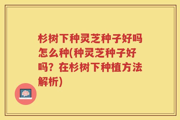 杉树下种灵芝种子好吗怎么种(种灵芝种子好吗？在杉树下种植方法解析)