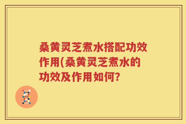 桑黄灵芝煮水搭配功效作用(桑黄灵芝煮水的功效及作用如何？