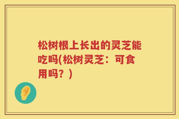 松树根上长出的灵芝能吃吗(松树灵芝:可食用吗?) 松树根上长出的灵芝能吃吗(松树灵芝:可食用吗?)