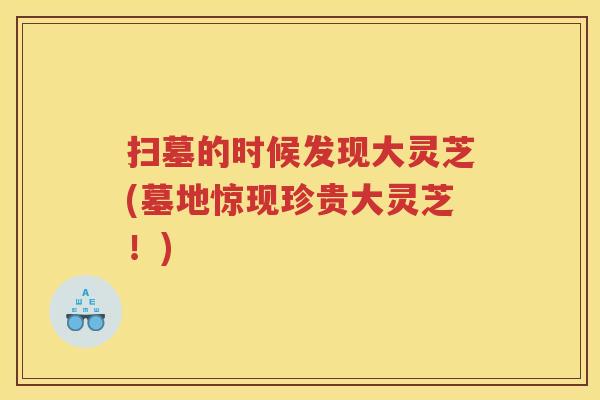 扫墓的时候发现大灵芝(墓地惊现珍贵大灵芝!) 扫墓的时候发现大灵芝(墓地惊现珍贵大灵芝!)