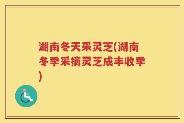 湖南冬天采灵芝(湖南冬季采摘灵芝成丰收季) 湖南冬天采灵芝(湖南冬季采摘灵芝成丰收季)