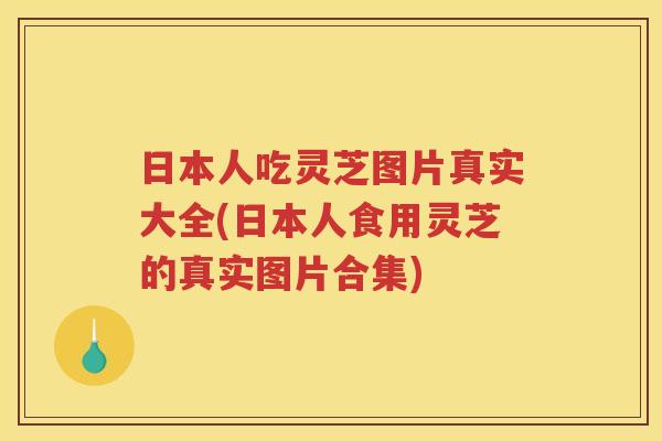 日本人吃灵芝图片真实大全(日本人食用灵芝的真实图片合集)