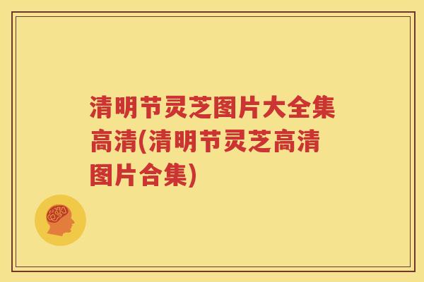 清明节灵芝图片大全集高清(清明节灵芝高清图片合集)