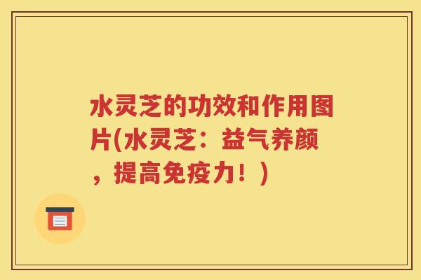 水灵芝的功效和作用图片(水灵芝：益气养颜，提高免疫力！)