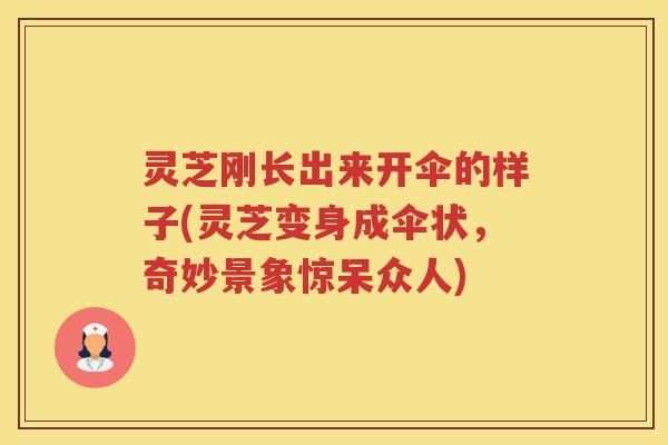 灵芝刚长出来开伞的样子(灵芝变身成伞状，奇妙景象惊呆众人)