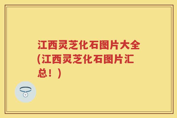 江西灵芝化石图片大全(江西灵芝化石图片汇总！)
