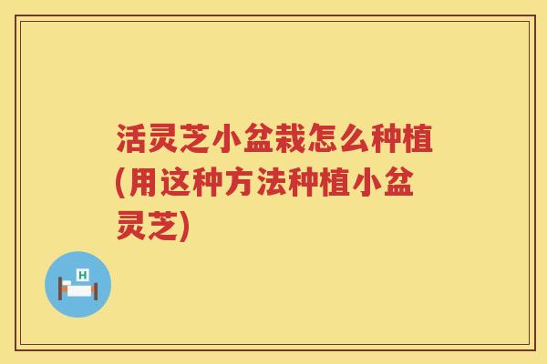 活灵芝小盆栽怎么种植(用这种方法种植小盆灵芝)