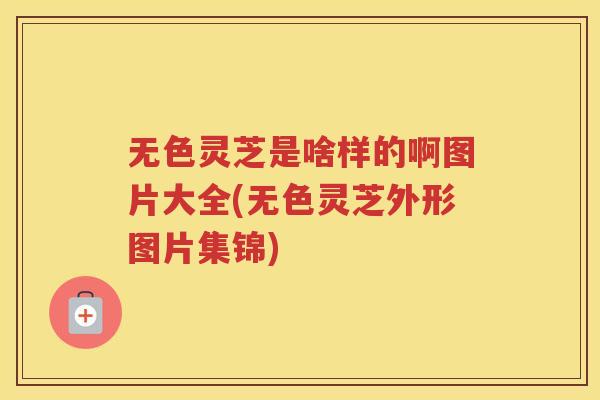 无色灵芝是啥样的啊图片大全(无色灵芝外形图片集锦)