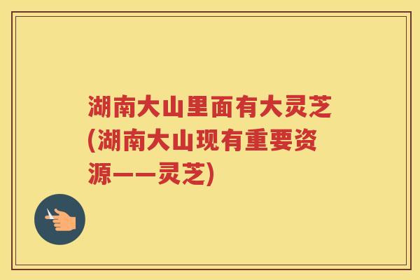 湖南大山里面有大灵芝(湖南大山现有重要资源——灵芝) 湖南大山里面有大灵芝(湖南大山现有重要资源——灵芝)