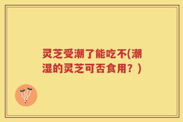 灵芝受潮了能吃不(潮湿的灵芝可否食用？)