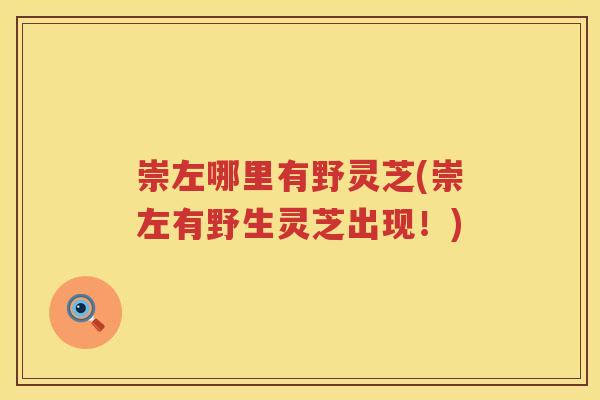 崇左哪里有野灵芝(崇左有野生灵芝出现！)