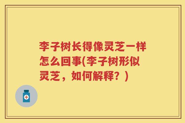 李子树长得像灵芝一样怎么回事(李子树形似灵芝，如何解释？)