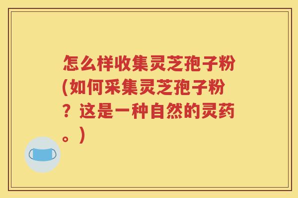 怎么样收集灵芝孢子粉(如何采集灵芝孢子粉？这是一种自然的灵药。)