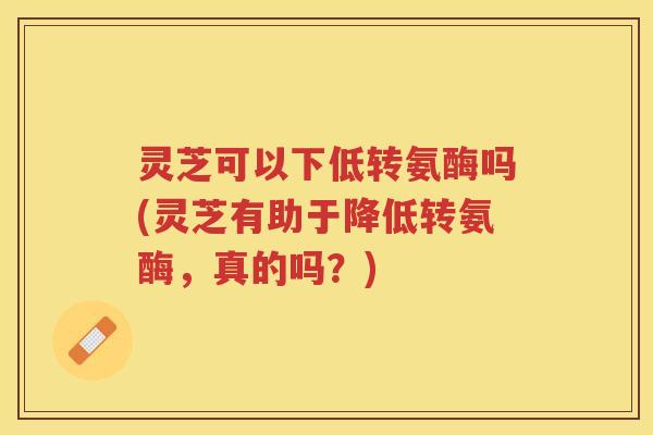 灵芝可以下低转氨酶吗(灵芝有助于降低转氨酶，真的吗？)