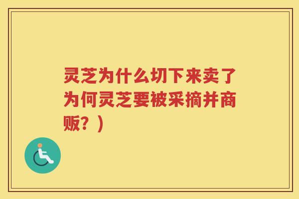 灵芝为什么切下来卖了为何灵芝要被采摘并商贩?) 灵芝为什么切下来卖了为何灵芝要被采摘并商贩?)