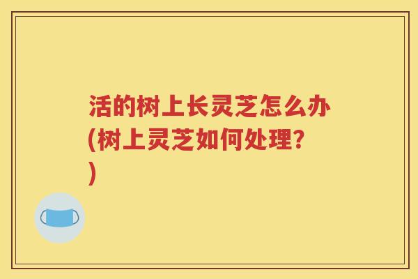 活的树上长灵芝怎么办(树上灵芝如何处理？)
