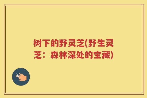 树下的野灵芝(野生灵芝：森林深处的宝藏)