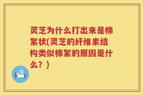 灵芝为什么打出来是棉絮状(灵芝的纤维素结构类似棉絮的原因是什么？)