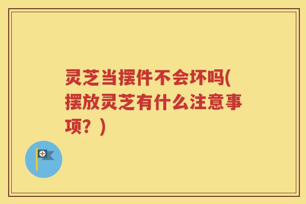 灵芝当摆件不会坏吗(摆放灵芝有什么注意事项？)