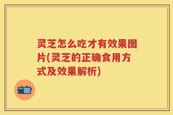 灵芝怎么吃才有效果图片(灵芝的正确食用方式及效果解析)
